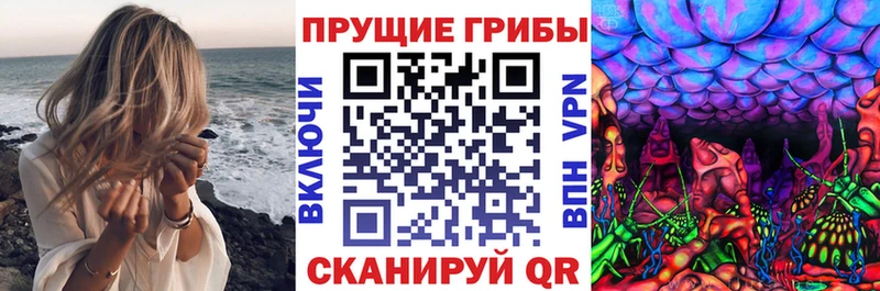 Псилоцибиновые грибы Psilocybine cubensis  kraken ссылки  Дальнегорск 